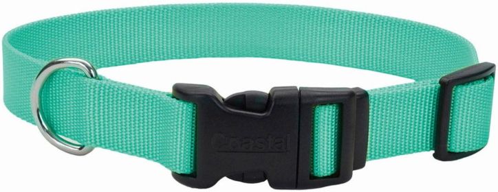 Coastal Pet Teal Nylon Tuff Dog Collar with Plastic Buckle - 8-12"L x 3/8"W