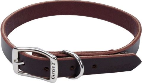 Circle T Latigo Leather Town Collar - 20" Long x 3/4" Wide