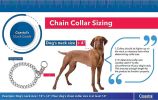 Coastal Pet Herm Sprenger Steel Choke Dog Collar 2.5mm - 22" Long