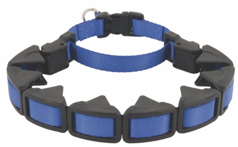 Coastal Pet Natural Control Training Collar Blue - 16" Long