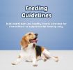 Blue Buffalo Health Bars Dog Biscuits - Baked with Apples & Yogurt - 16 oz