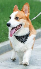 Cute Adjustable Small Dog Collar Puppy Pet Slobber Towel Outdoor Collar Fashion Printed Scarf Dog Neckerchief Bandana Collar