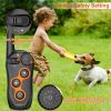 Electric Dog Training Collar Rechargeable Receiver Beep Vibration Shock