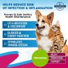Dog Urinary Tract Infection Treatment Natural UTI Medicine Cranberry Kidney Bladder Support Supplement Pet Renal Health UTI Care Drops