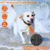 Electric Dog Training Collar Rechargeable Receiver Beep Vibration Shock