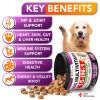 Dog Multivitamin Chewable with Glucosamine   Dog Vitamins and Supplements   Senior & Puppy Multivitamin for Dogs   Pet Joint Support Health   Immunity
