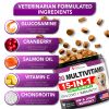 Dog Multivitamin Chewable with Glucosamine   Dog Vitamins and Supplements   Senior & Puppy Multivitamin for Dogs   Pet Joint Support Health   Immunity