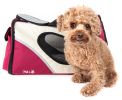 Airline Approved Phenom-Air Collapsible Pet Carrier