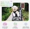 Petique 5-in-1 Pet Carrier for Dogs Cats and Small Animals Sunset Strip