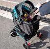 Petique Swift Pet StrollerBlack