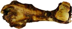 Jones Naturals Dino Bone 12-14 Inch Beef Dog Bone