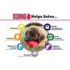 KONG Classic Durable Natural Rubber Chew, Chase, and Fetch Dog Toy