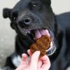 KONG Jerky Beef Flavor Treats for Dogs Small / Medium