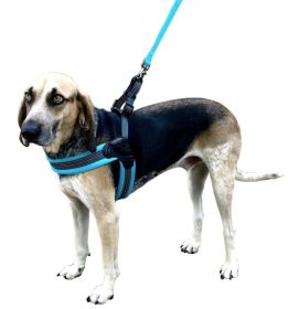 Sporn Easy Fit Dog Harness Blue (size: Small - 1 count)